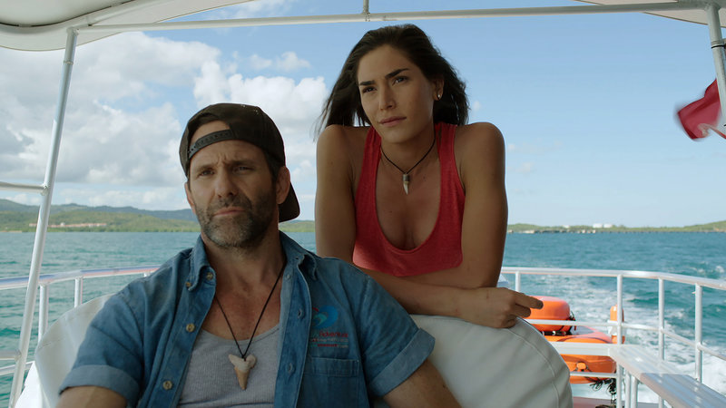 5-Headed Shark Attack – Bild: TL5