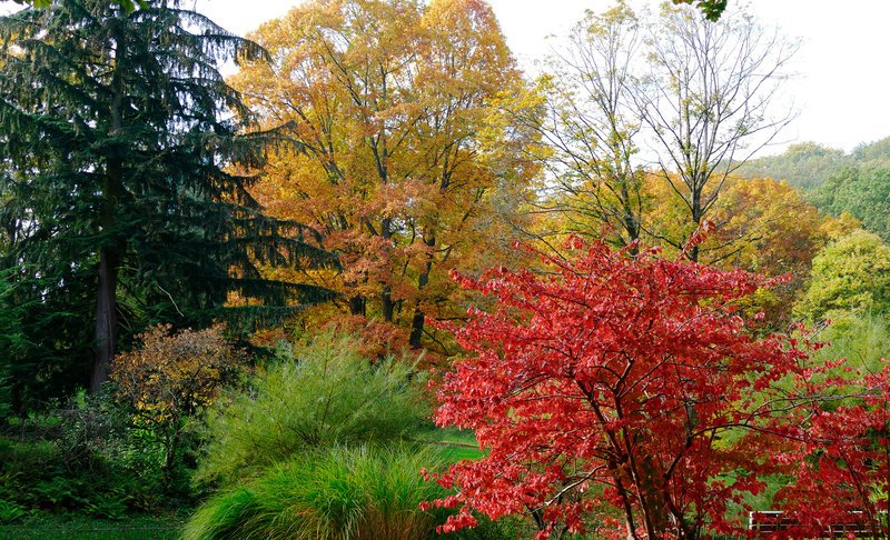 Goldener Herbst (Baden-Baden). – Bild: ZDF und SWR/Mouhcine El Ghomri Goldener Herbst (Baden-Baden). – Bild: ZDF und SWR/Mouhcine El Ghomri