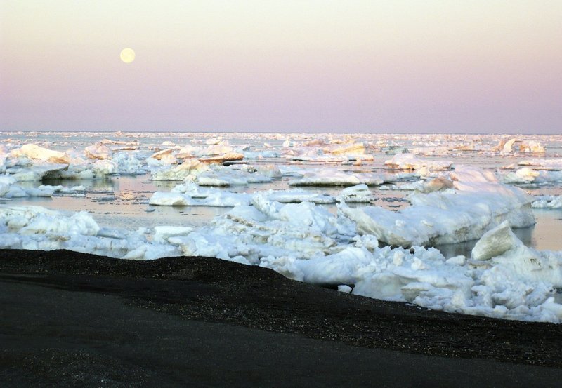Selbst im Hochsommer blockieren Treibeisfelder die Küste der Wrangelinsel. – Bild: NDR/​NDR/​Naturfilm