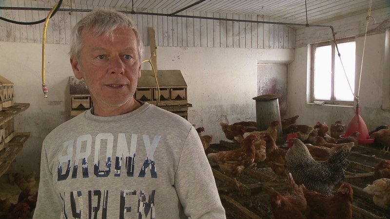 Hubert Landerer hält Hühner auf seinem Bauernhof. – Bild: BR
