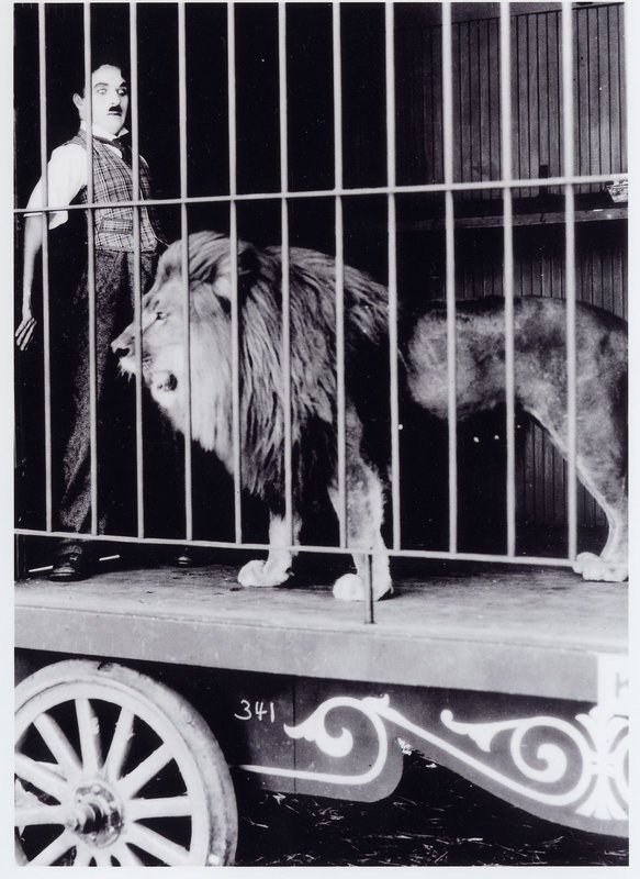 Gerät von einer Bredouille in die nächste: Tramp (Charles Chaplin) … – Bild: Roy Export SAS Lizenzbild frei Gerät von einer Bredouille in die nächste: Tramp (Charles Chaplin) … – Bild: Roy Export SAS Lizenzbild frei