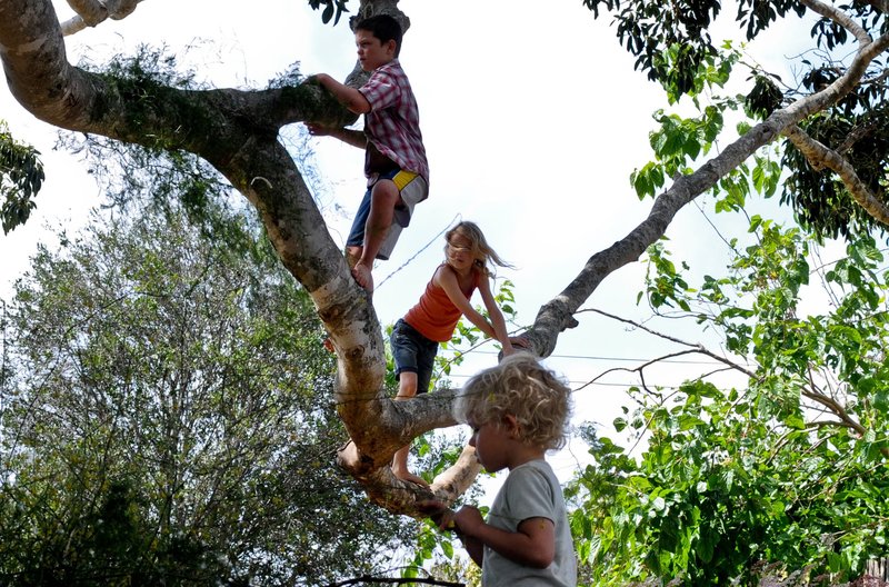 Die Kinder Simone (Morgana Davies, Mitte), Lou (Tom Russell) und Charlie (Gabriel Gotting, re. unten) und ihr Lieblingsspielplatz: der Baum – Bild: ARD Degeto/Baruch Rafic/Les Films du Poisson/Taylor Media Die Kinder Simone (Morgana Davies, Mitte), Lou (Tom Russell) und Charlie (Gabriel Gotting, re. unten) und ihr Lieblingsspielplatz: der Baum – Bild: ARD Degeto/Baruch Rafic/Les Films du Poisson/Taylor Media