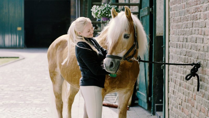 Rtl Es War Mord Rtl Es War Mord