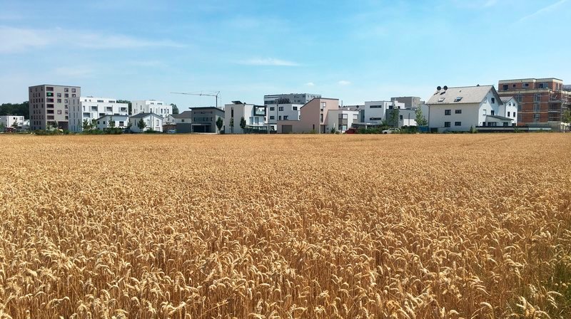 Die Bodenpreise explodieren, Wohnraum wird unbezahlbar. – Bild: SWR/Claus Hanischdörfer Die Bodenpreise explodieren, Wohnraum wird unbezahlbar. – Bild: SWR/Claus Hanischdörfer