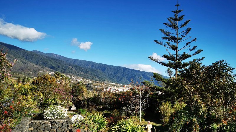 Vierzig Prozent von La Palma sind mit Wald bedeckt, sie ist damit die mit Abstand grünste kanarische Insel und wird deshalb auch „Isla verde“ genannt. – Bild: NDR/​nonfictionplanet/​Till Lehmann