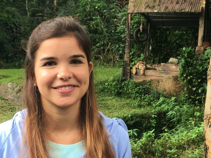 Anna Und Die Wilden Tiere Fuchs