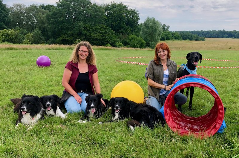 Hundkatzemaus 894 Folge 894 Fernsehseriende