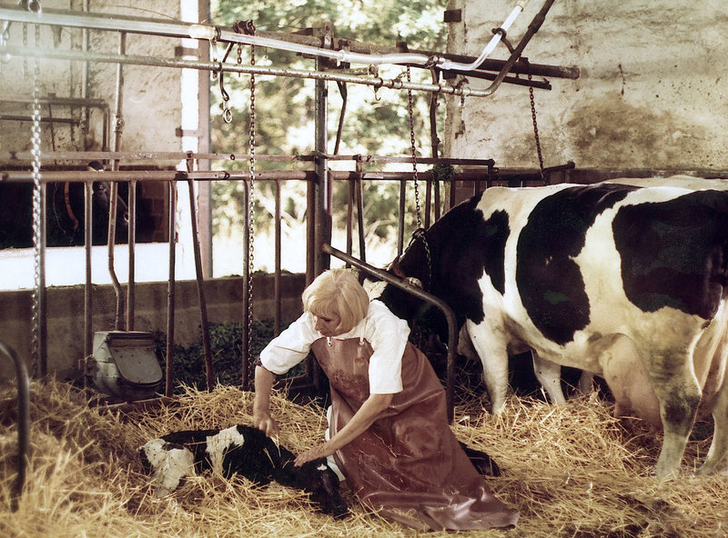 Viechereien – Bild: MDR/​DRA/​Rudi Meister