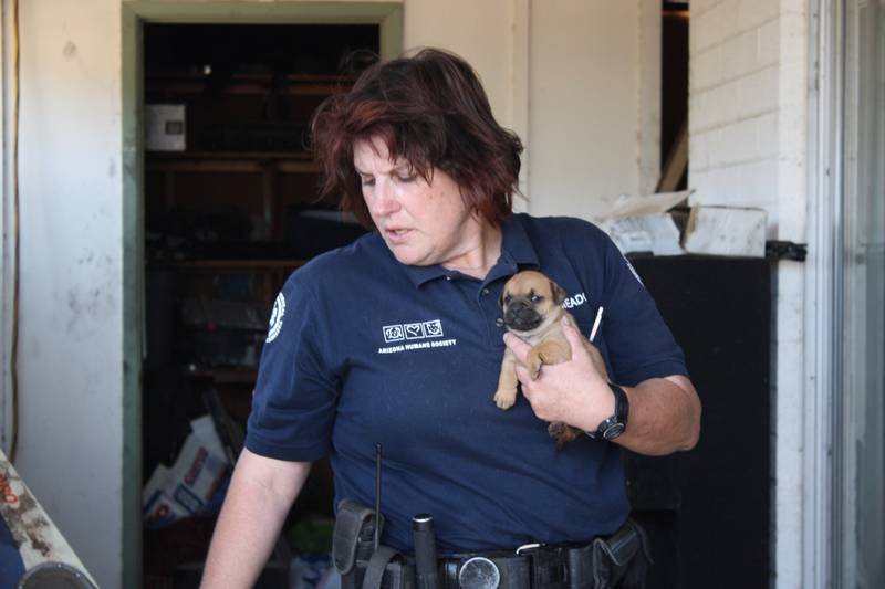 Tierpolizei Phoenix Tierpolizei Phoenix
