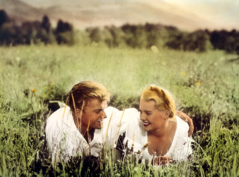 Wo der Wildbach rauscht – Bild: MDR/​Degeto