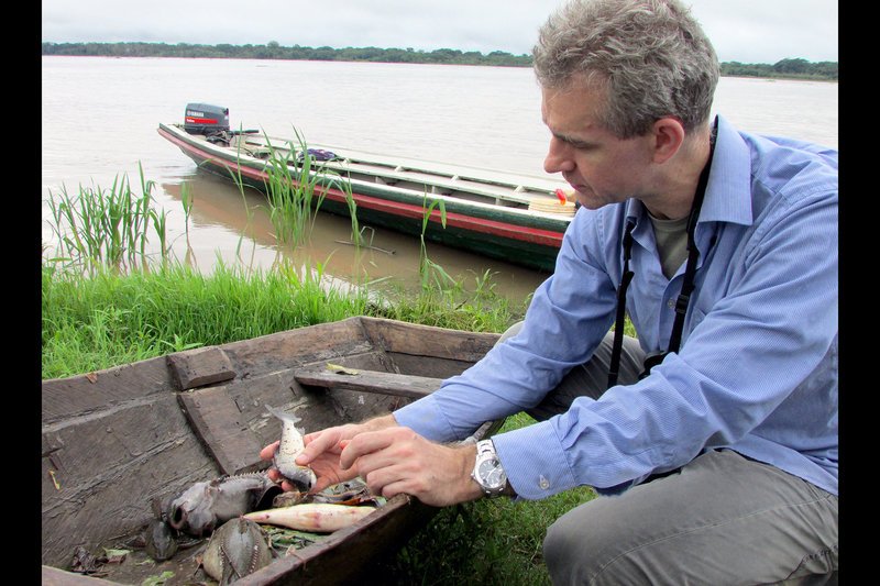 Der Biologe Will Crampton erforscht Fischarten, die in den dunklen Gewässern des Amazonasgebiets eine ganz besondere Jagd- und Verteidigungsstrategie entwickelt haben: Sie erzeugen Strom. – Bild: arte