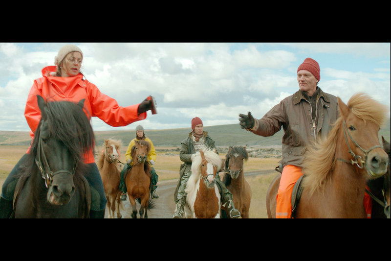 Von Menschen und Pferden – Bild: ZDF /​ © Hrossabrestur ehf.