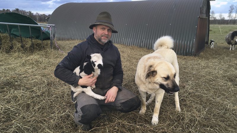 Die Angst vor dem Wolf – Bild: NDR/​Stefan Weiße