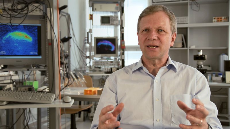 Schmerzforscher Jürgen Sandkühler. – Bild: ZDF und ORF/Langbein&Partner Schmerzforscher Jürgen Sandkühler. – Bild: ZDF und ORF/Langbein&Partner