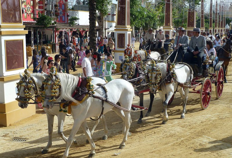 Feria del Caballo Jerez. – Bild: SR/​Maria C. Schmitt