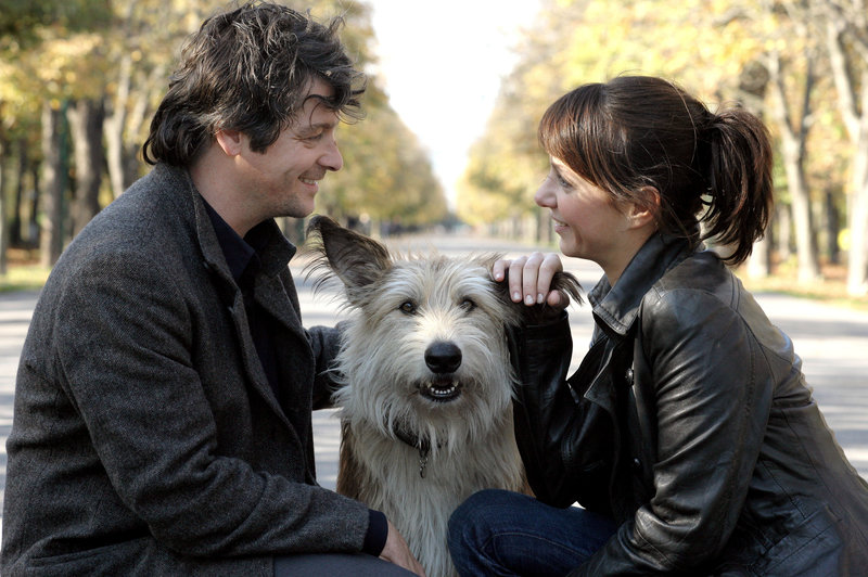 Der Fall des Lemming – Bild: ORF