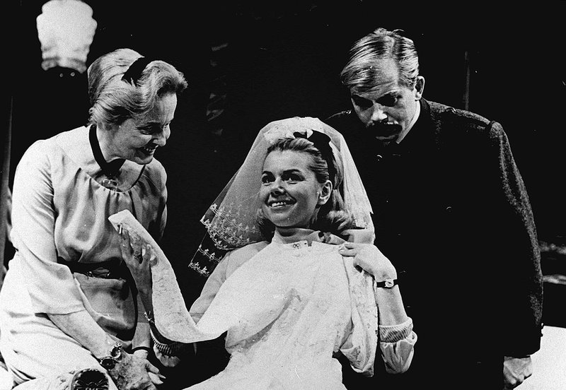 Katzenzungen – Bild: ORF