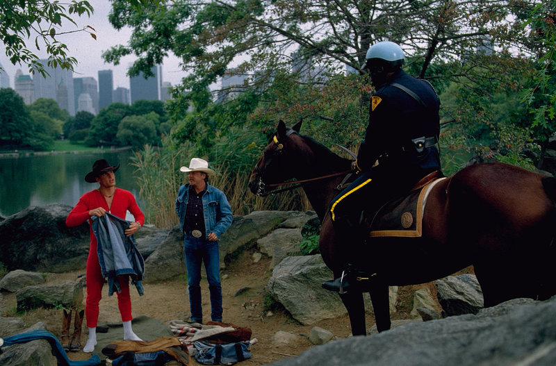 Machen wir's wie Cowboys – Bild: Puls 4