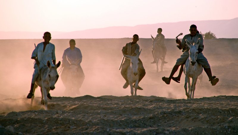 Der Esel - Vom Wüstentier zum Weggefährten – Bild: 3sat