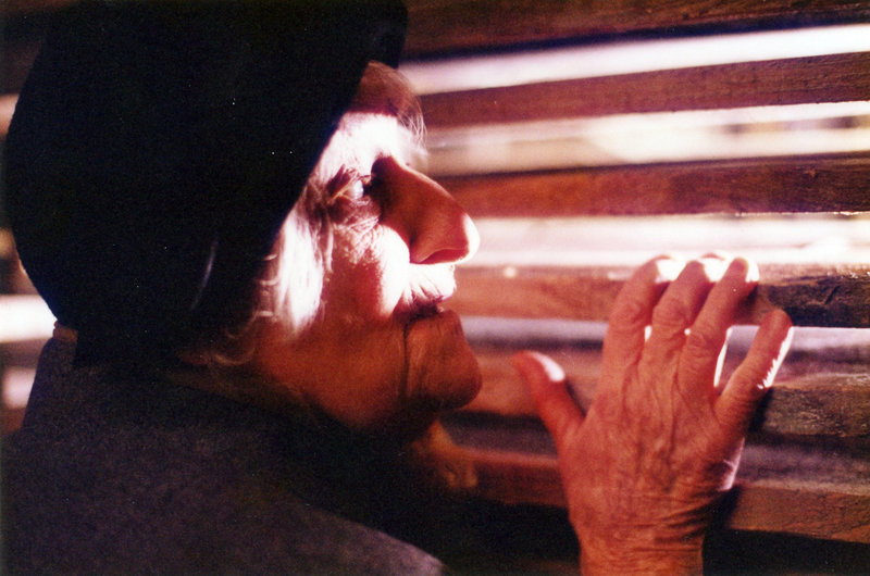 Die Ameisenstraße – Bild: ORF