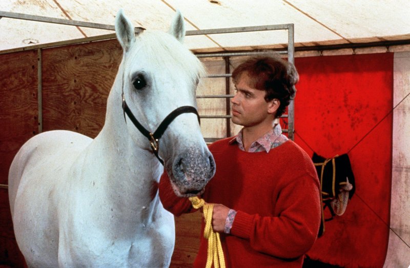 Alexander Wussow (Paul Scheibner). – Bild: ORF Alexander Wussow (Paul Scheibner). – Bild: ORF