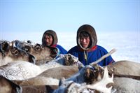 Abenteuer Sibirien – arte Abenteuer Sibirien – arte