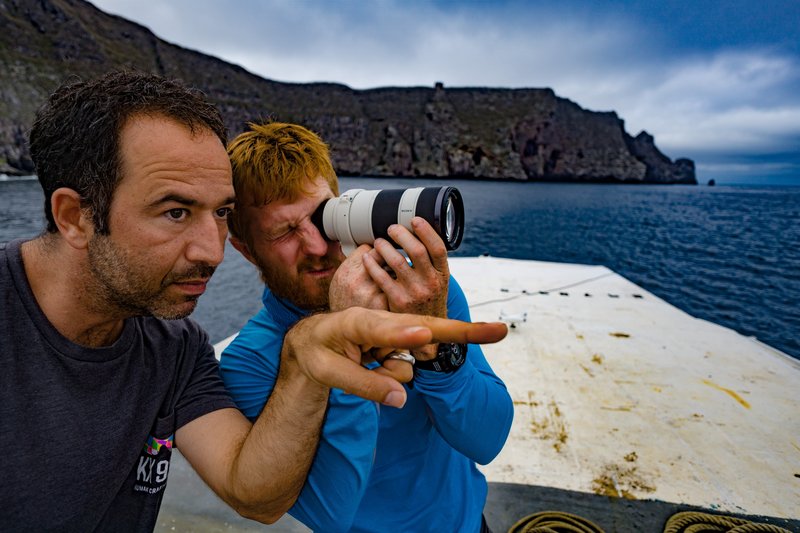 Invasion der Tigerhaie – Bild: Discovery Channel /​ Discovery Communications