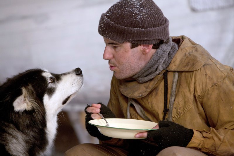 Pinguine und Robben waren die Hauptnahrungsquelle sowohl für die Männer als auch für die Hunde. – Bild: ORF