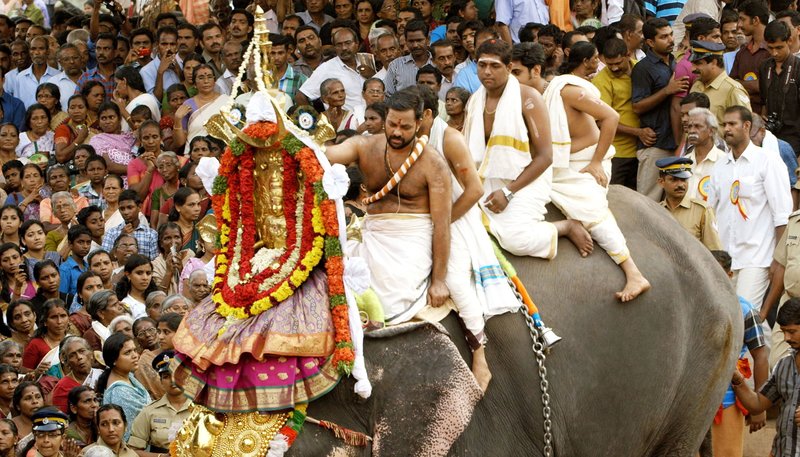 Elefantenparadies Südindien – Bild: SWR/​Marcus Winterbauer