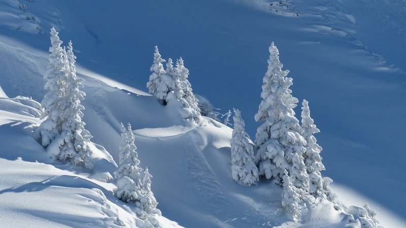 Winter – Bild: CC0 Creative Commons Winter – Bild: CC0 Creative Commons