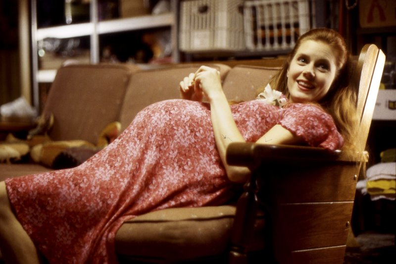 Junikäfer – Bild: Arsenal Filmverleih