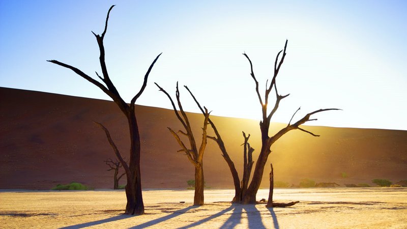 Sandwüste in Namibia (Sossusvlei)SandwĂĽste in Namibia (Sossusvlei) – Bild: RTL Zwei