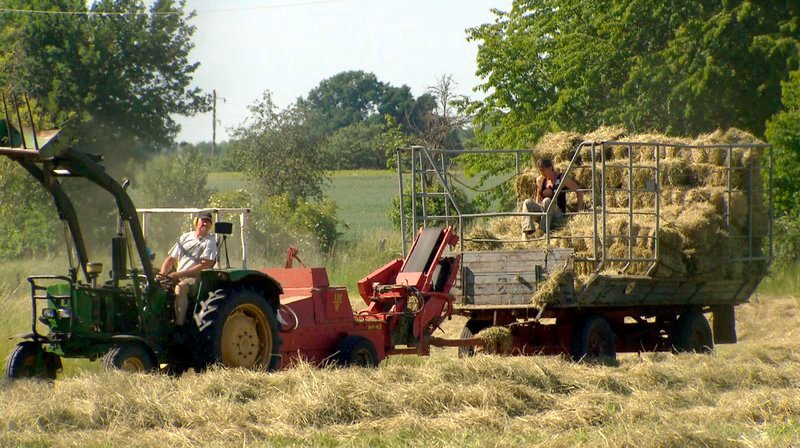 Heuernte: Auch das Winterfutter für ihre Tiere machen Gunnar Hansen und Isabell Stich selbst. – Bild: NDR/TVPlus/Florian Stege Heuernte: Auch das Winterfutter für ihre Tiere machen Gunnar Hansen und Isabell Stich selbst. – Bild: NDR/TVPlus/Florian Stege