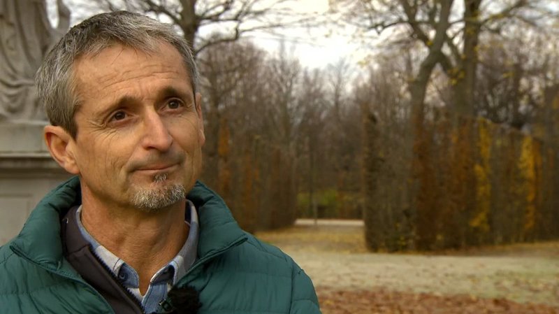 Der Wald als Heiler – Bild: ORF