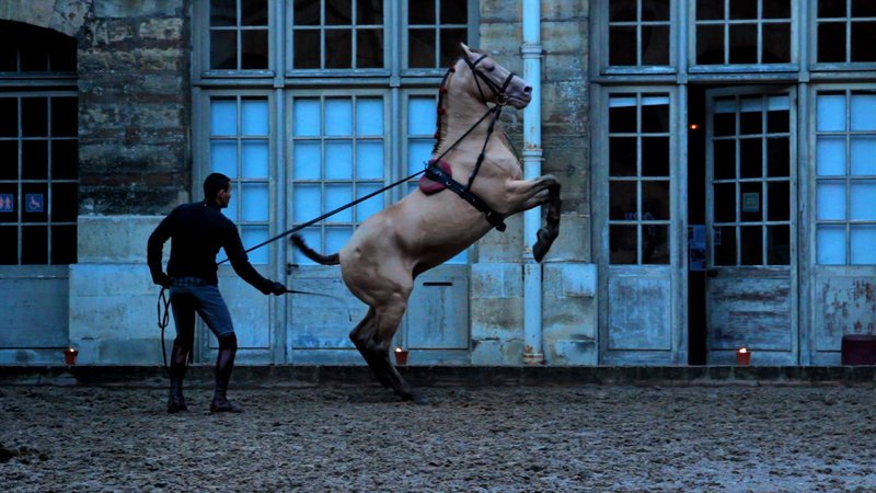 2013 feiert die berühmte Pferdeakademie von Versailles ihr zehnjähriges Bestehen. In der von Bartabas gegründeten Institution wird das Reiten mit anderen Künsten zu einem Gesamtkunstwerk verbunden. – Bild: arte