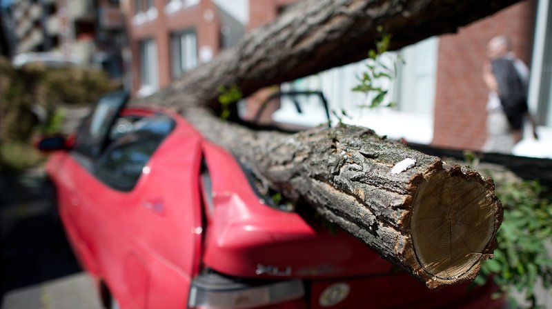 Ein beschädigtes Auto in Düsseldorf (Nordrhein-Westfalen) durch das Gewitter Ela. – Bild: WDR/dpa/Frederico Gambarini Ein beschädigtes Auto in Düsseldorf (Nordrhein-Westfalen) durch das Gewitter Ela. – Bild: WDR/dpa/Frederico Gambarini