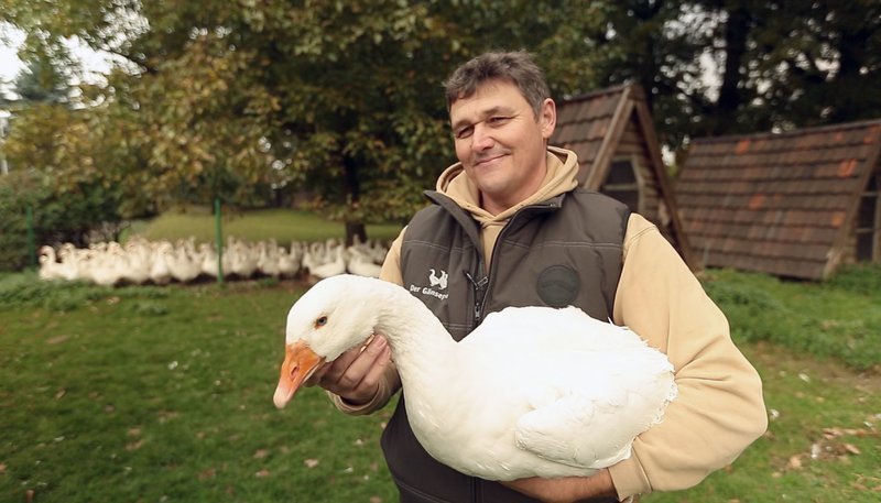 Gänsezüchter Peter Eßer, der Gänseflüsterer vom Niederrhein. – Bild: WDR