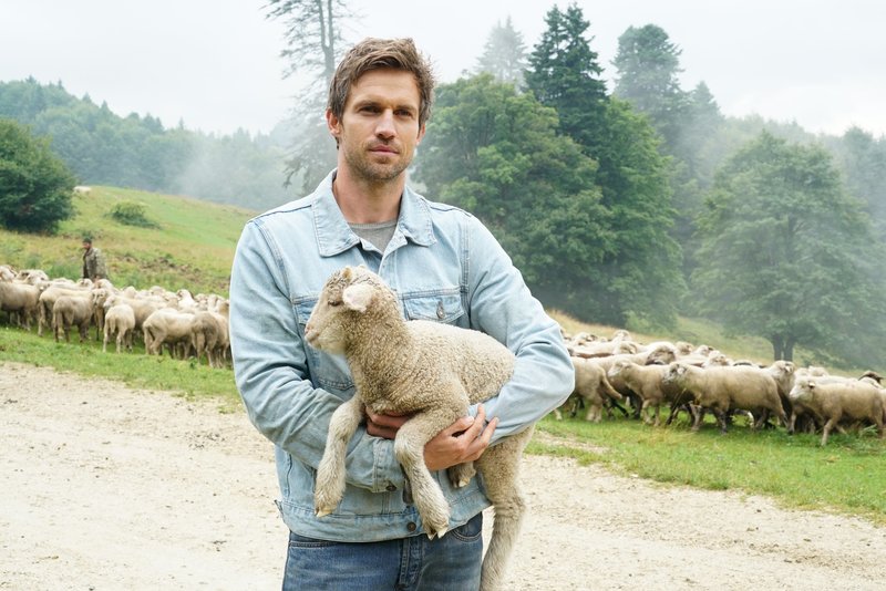 Royal Hearts – Bild: MPCA Lizenzbild frei