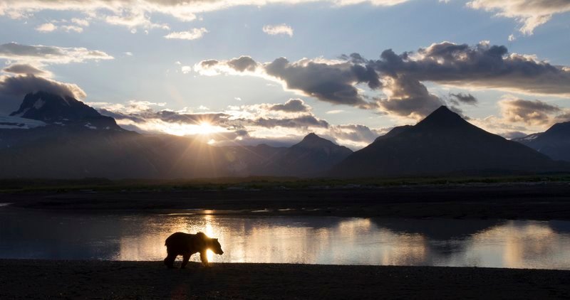 Der Katmai Nationalpark in Alaska ist die Heimat von vielen Bären, die dort leben, jagen und ihre Jungen großziehen. – Bild: MG RTL D /​ Foto: Oliver Sc