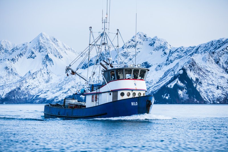 Mike McCune verkauft sein Haus und kauft ein altes Fischerboot. Damit macht er sich auf in ein episches Surf-Abenteuer. Mit seiner Crew reist er die einsame Alaska Küste entlang – im tiefsten Winter … – Bild: Flash Films 2013 Lizenzbild frei