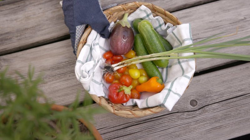 Gemüse im Korb. – Bild: ORF