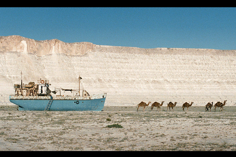 Waiting for the Sea – Bild: ZDF /​ © Pallas Film