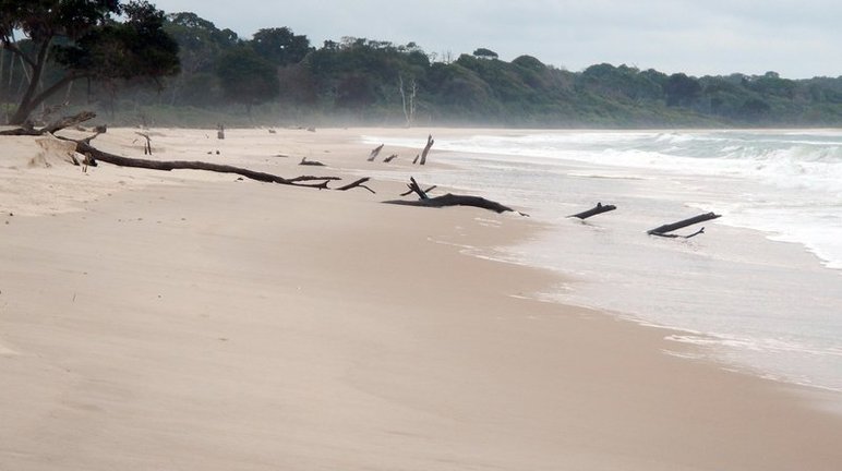 Wasserwelten Dokumentation In 5 Teilen Episodenguide Fernsehserien De