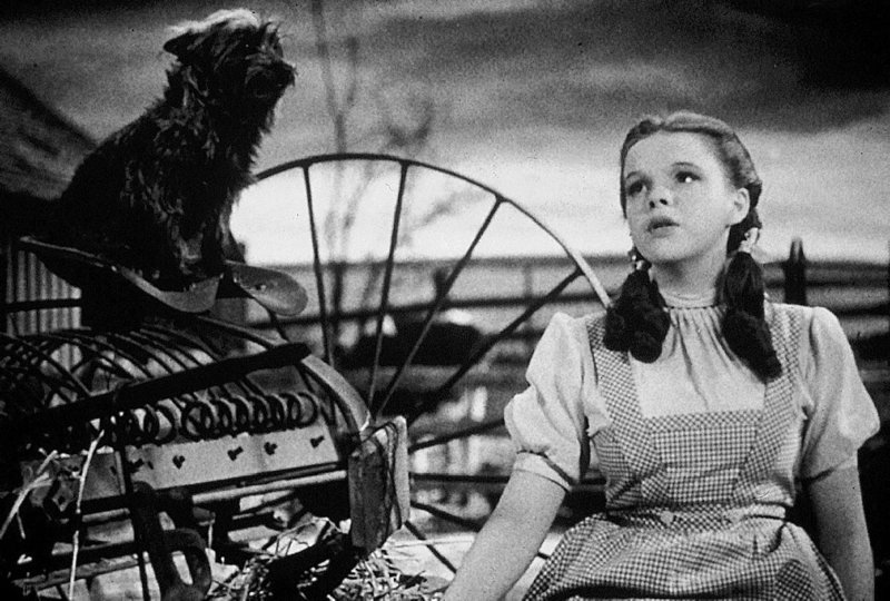 Judy Garland – Bild: AGENTUR: CINETEXT Bild- und Text Judy Garland – Bild: AGENTUR: CINETEXT Bild- und Text