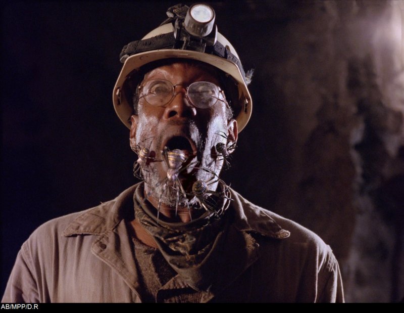 Arac Attack - Angriff der achtbeinigen Monster – Bild: 2002 WARNER BROS. – All rights reserved.