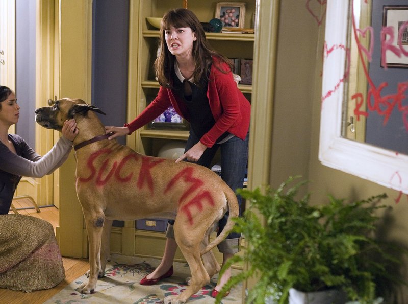 Der Date Profi – Bild: ARD Degeto