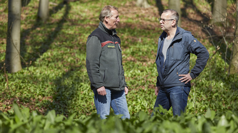 Unsere Wälder - Das Eggegebirge – Bild: WDR/​Claus Langer