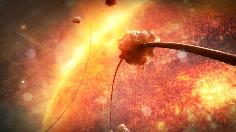 Geheimnis Körper - Reise in die Welt der Zellen – Bild: Geo Television