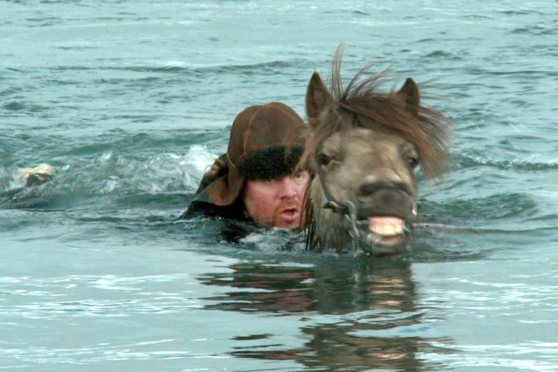 Für Wodka steigt Vernhardur (Steinn Armann Magnússon) mit seinem Pferd Jarpur sogar in die eisigen Fluten des Nordatlantiks. – Bild: ZDF /​ © Hrossabrestur ehf.