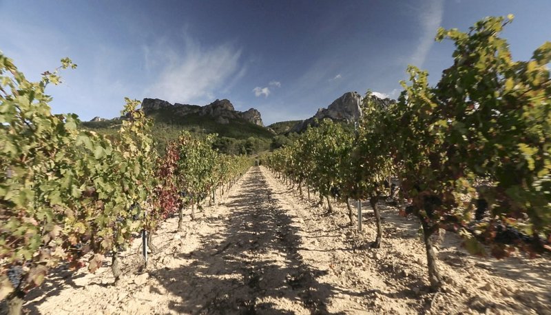 Die Reise mit dem Zug durch Spanien führt durch das weltberühmte Weinanbaugebiet „La Rioja“. – Bild: NDR